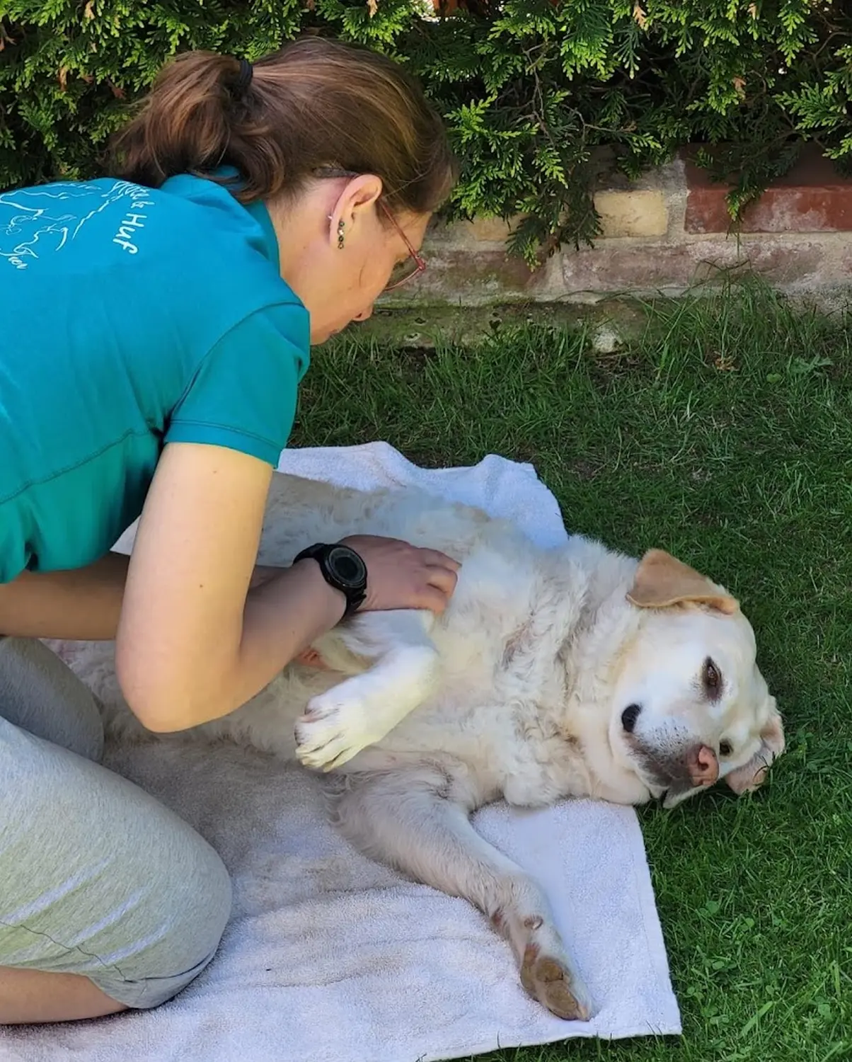 Hundetherapie bei Physio Pfote und Huf | Harmonie= Wellnesstherapeutin | Nicola Schmidt