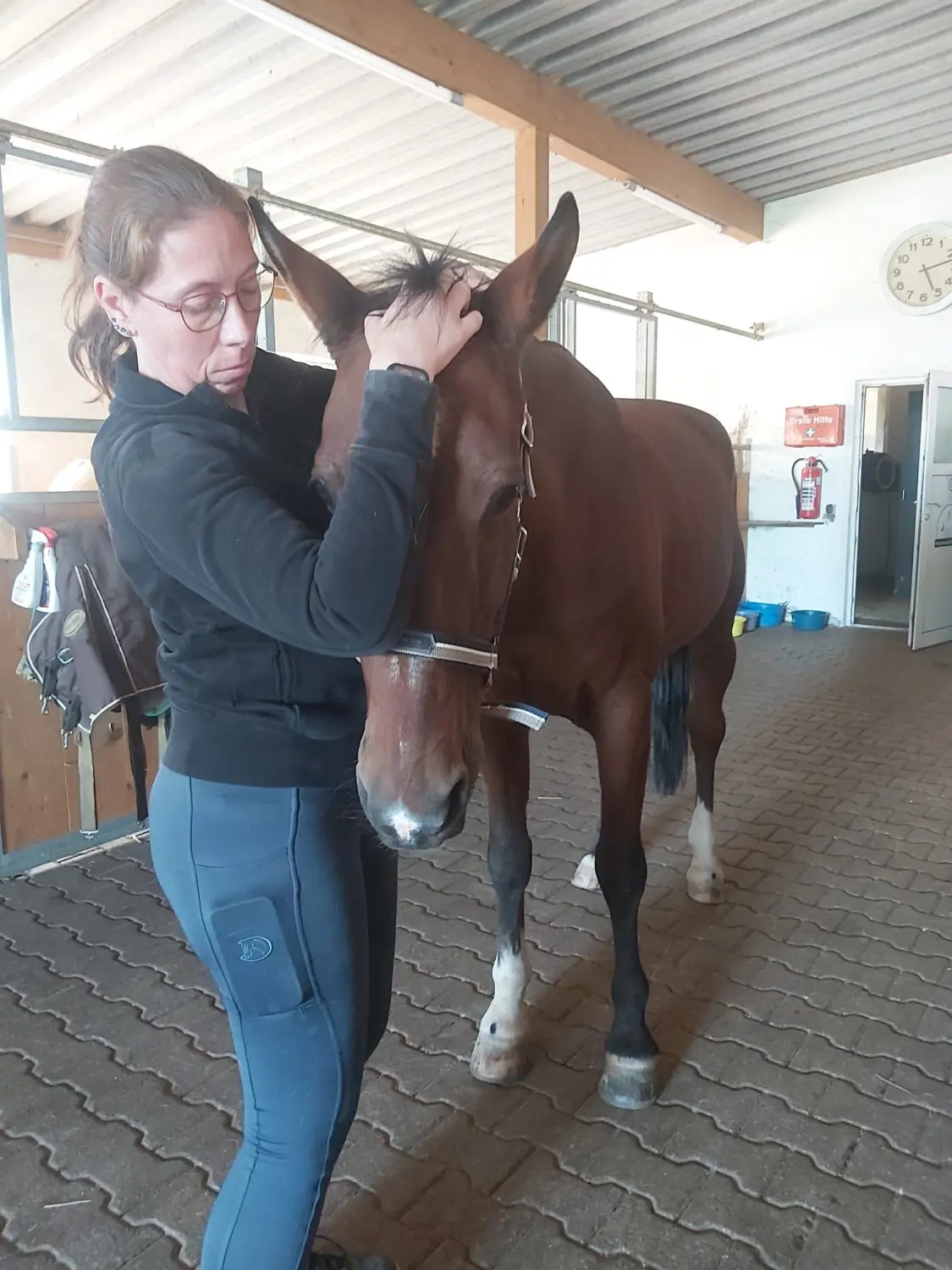 eine Frau mit Pferd von Physio Pfote und Huf | Harmonie= Wellnesstherapeutin | Nicola Schmidt