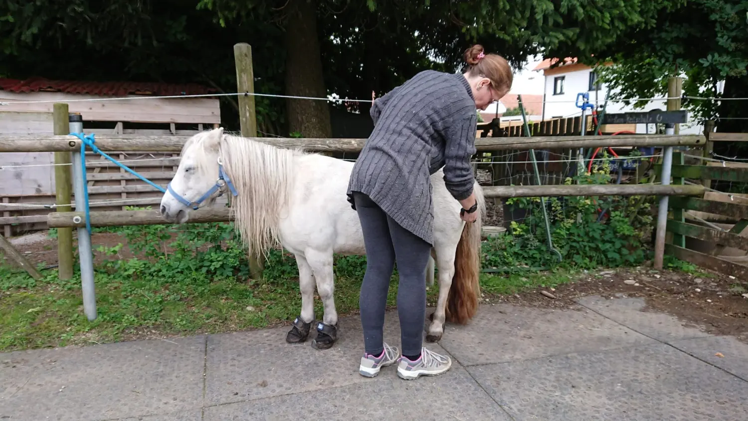 eine Frau mit Pferd von Physio Pfote und Huf | Harmonie= Wellnesstherapeutin | Nicola Schmidt