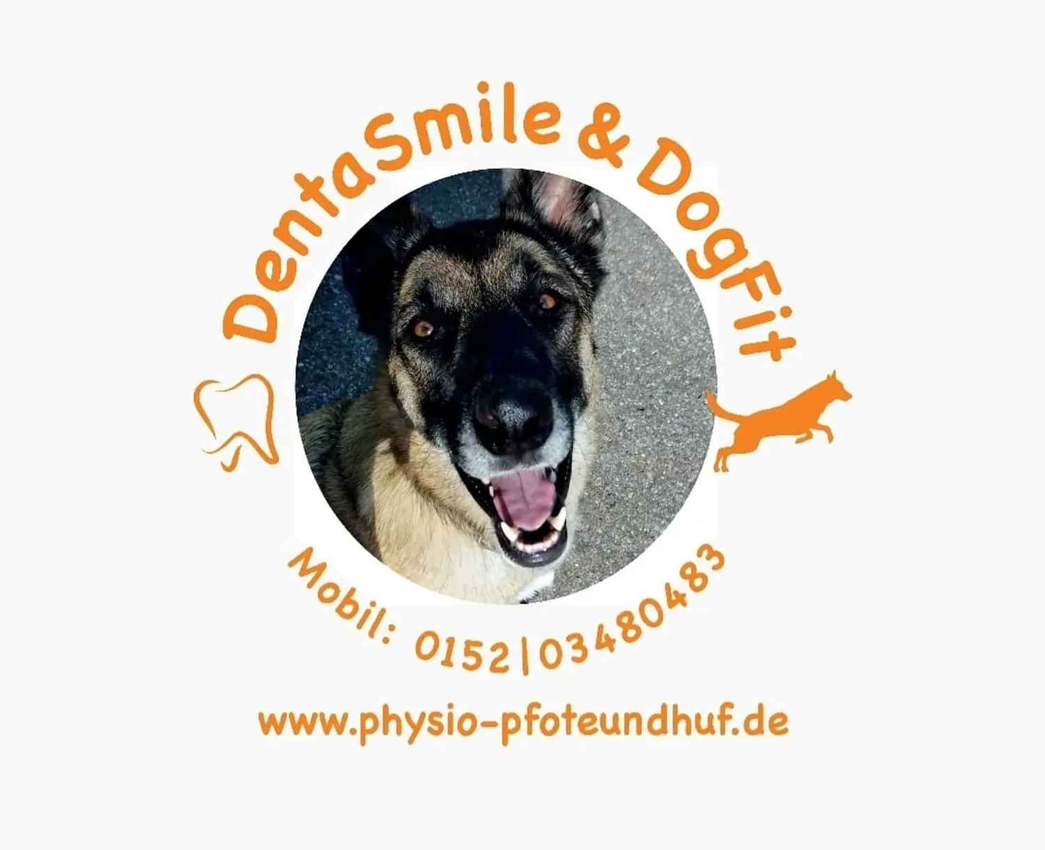 DentaSmile & DogFit logo