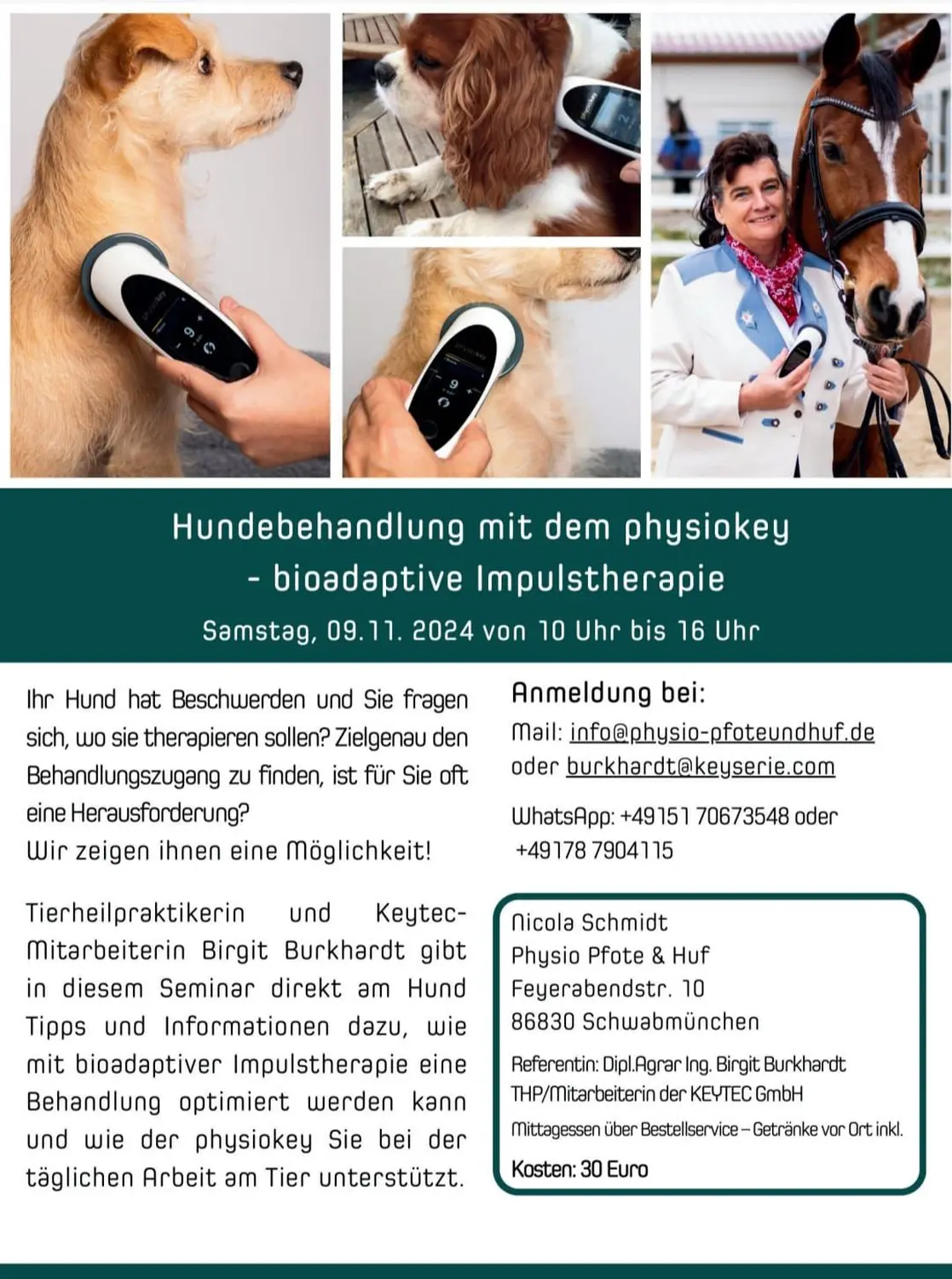 Hundebehandlung mit dem physiokey- bioadaptive Impulstherapie